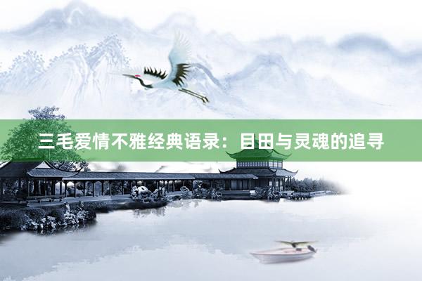 三毛爱情不雅经典语录：目田与灵魂的追寻