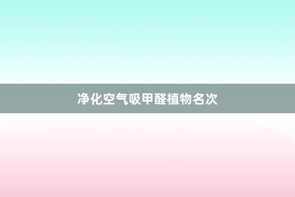 净化空气吸甲醛植物名次