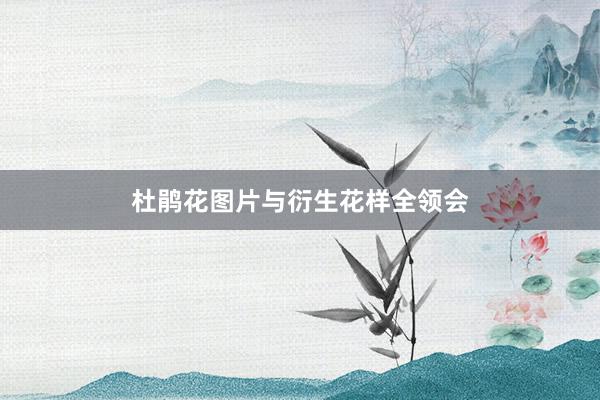杜鹃花图片与衍生花样全领会