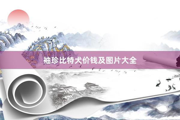 袖珍比特犬价钱及图片大全