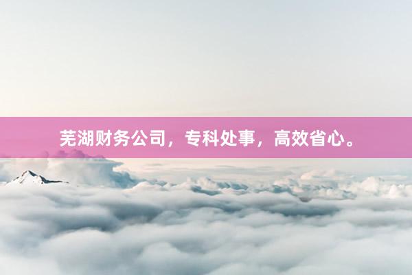 芜湖财务公司，专科处事，高效省心。